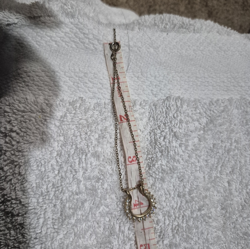 Horseshoe bracelet